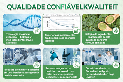 🇧🇷𝑳𝒐𝒋𝒂 𝑶𝒇𝒊𝒄𝒊𝒂𝒍 | 🩹👩‍⚕️𝐆𝐋𝗢𝗥𝗘𝗡𝗗𝑨® 𝑷𝗮𝘁𝗰𝙝 𝘼𝙫𝐚𝐧ç𝐚𝒅𝒐 𝒅𝗲 𝗠𝗶𝗰𝙧𝙤𝐚𝐠𝐮𝒍𝒉𝗮𝘀 𝟭0‑𝙚𝙢‑𝟭